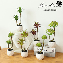 �ٻ��������С�辰����ֲ�ﳧ�Ҵ���С�ڼ�һ������������ֲ����