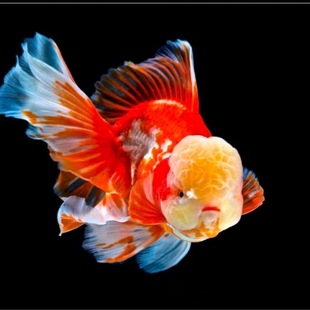 ̩�{���~���~С�͵�ˮ���B��ˮ�~�����~�ԁ�ˮ���B�ͻ��~���^�p�~