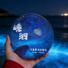 浙江舟山嵊泗花鸟岛蓝眼泪台州石塘古镇流沙款冰箱贴衢州中国城市
