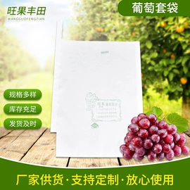 纸袋;水果套袋