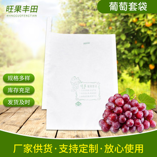 ���l���@�Nֲˮ���ð�ɫ�Ό�34*22�����״� ¶���ù������״�