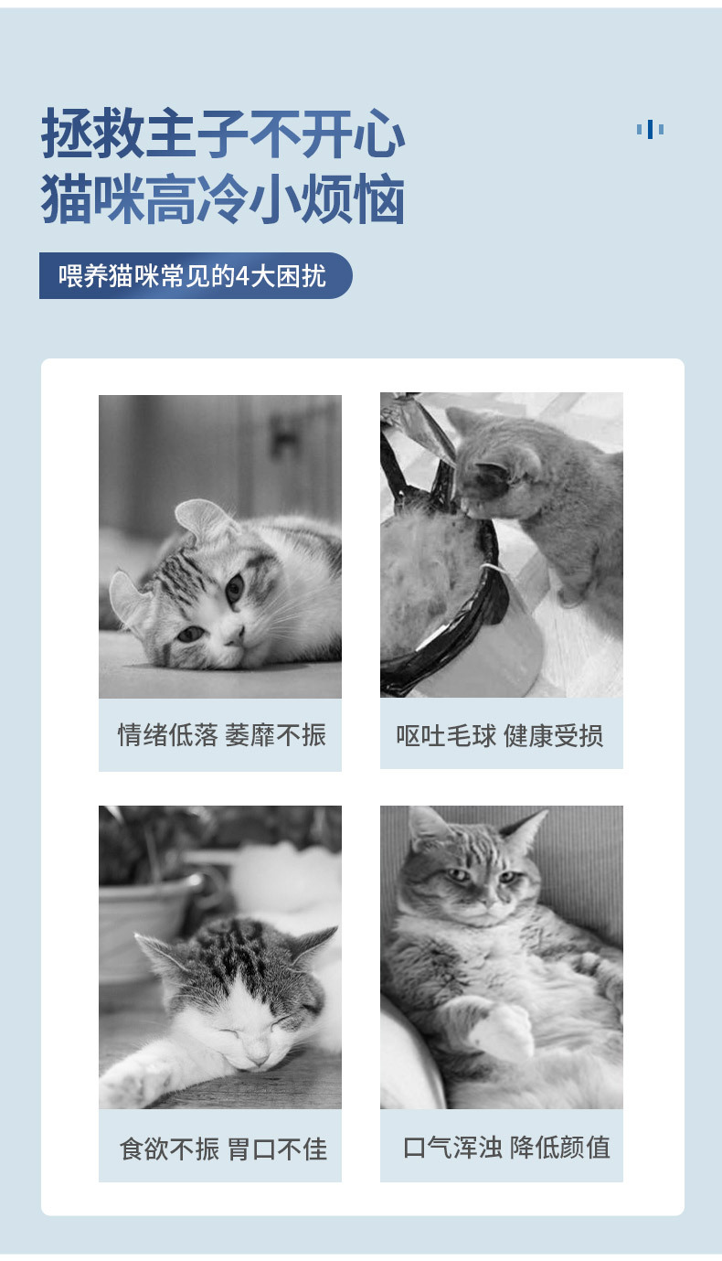 详情_02.jpg