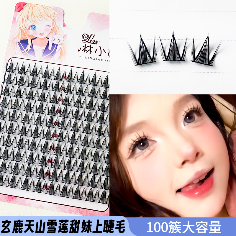 [100 Clusters-Ten Rows of Tianshan Snow Lotus] in a box / Single box-no tools