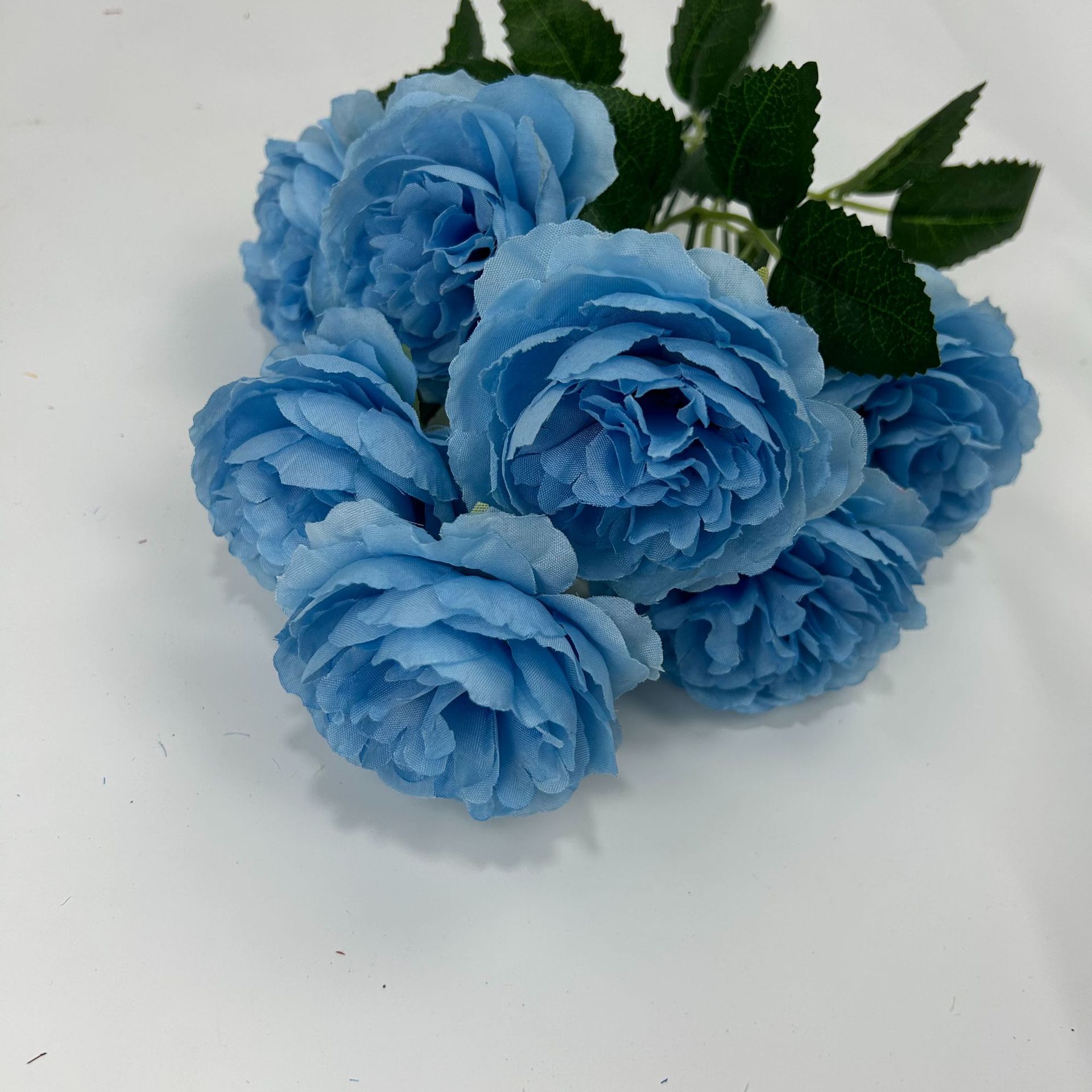 바다색