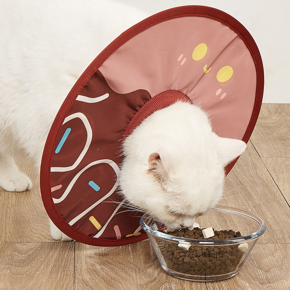 Manufacturer Wholesale Waterproof Elizabethan Collar for Cats, Anti-Licking Headgear for Small and Medium-Sized Dogs, Anti-Scratch Shame Collar for Neutering
