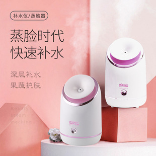 DSP/Dansong Thermal Spray Face Steam Facial Hydrating Instrument Sprayer Small Household Hydrating and Moisturizing Beauty Instrument