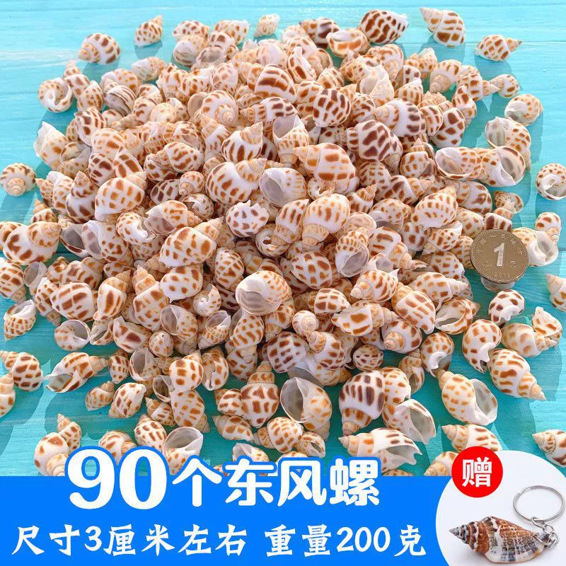 Aquarium decor, materials set for swimming, starfish