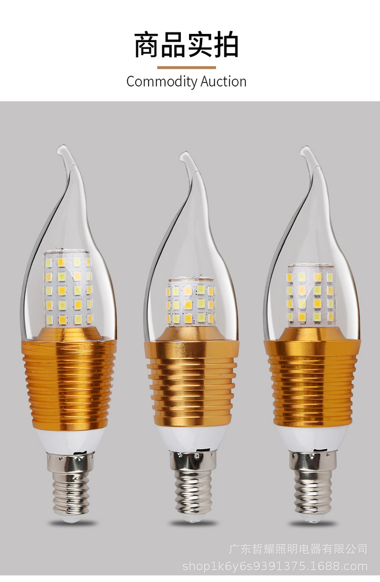 金色拉尾尖泡_11