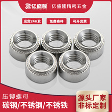 304���P䓉��T��ĸ��ñ���X�k��CLS-M2-M8��ˮ���T��ĸ�C���k��