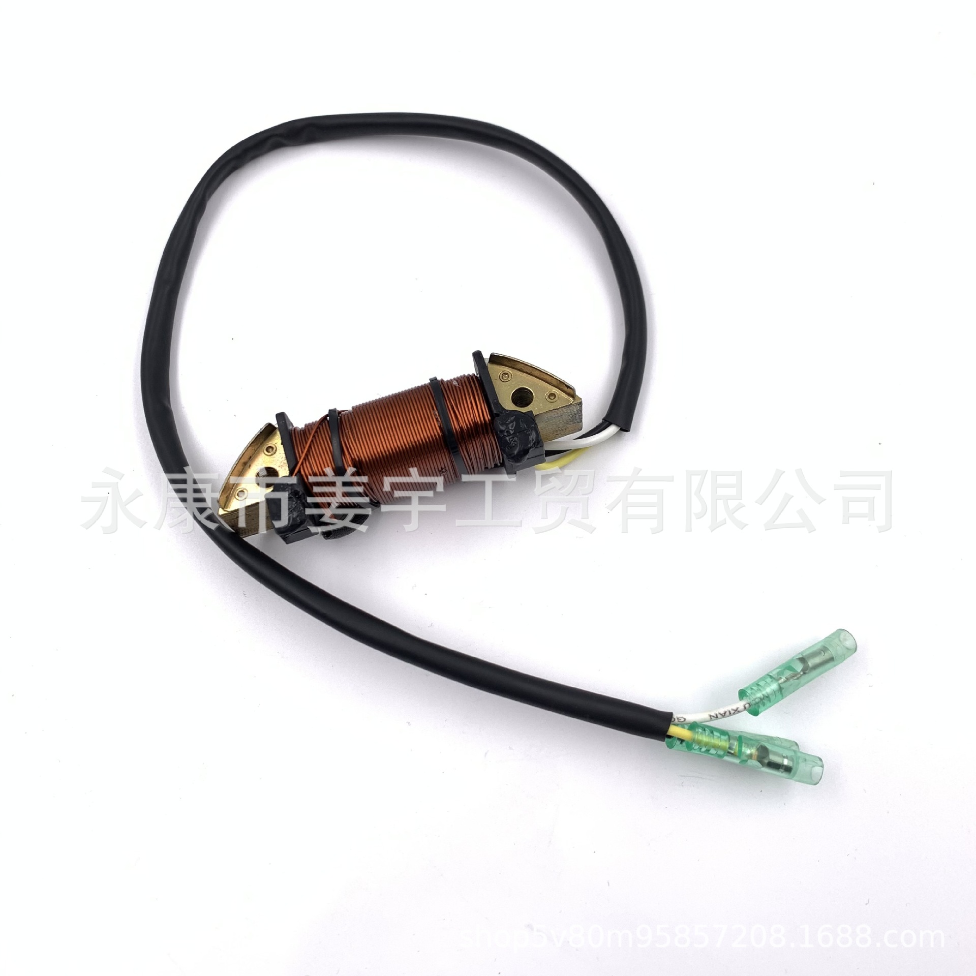 用于东发2冲程18马力T18舷外机配件照明线圈 船外机3G2-06023-1