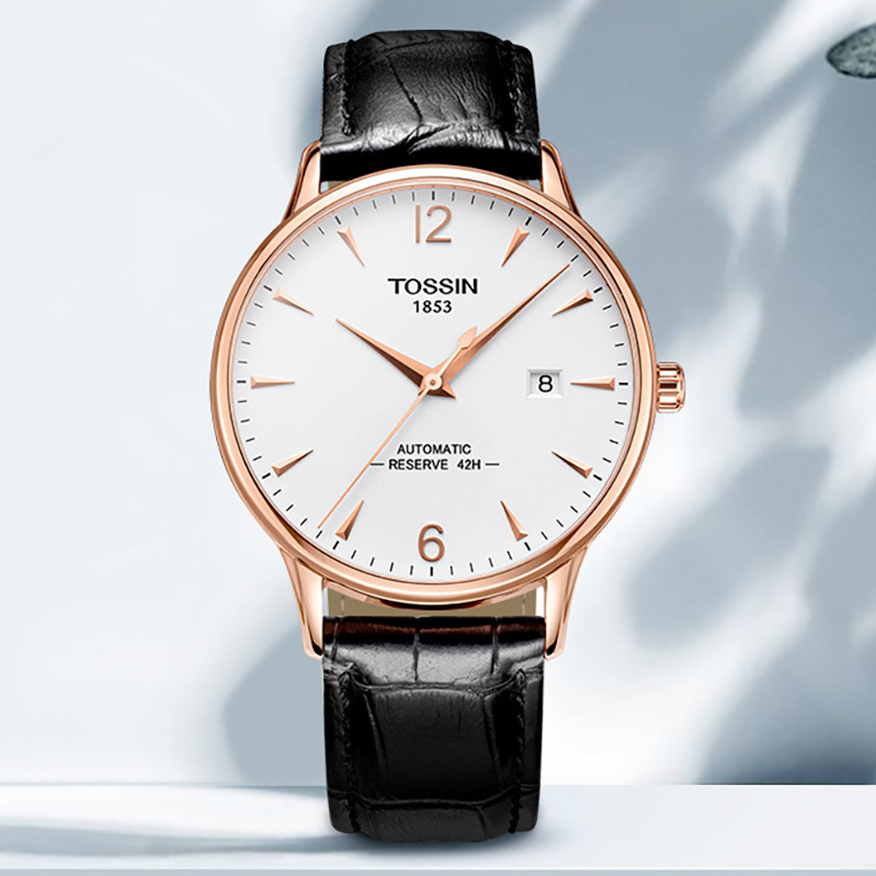 Tianjia Watch Swiss Genuine Men's Waterproof Couple's Watch Fully Automatic Mechanical Watch Le Locle Series Fashion Watch