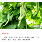 Цветочный капсул капсовый бобовый капрал соевый соевый земельный бобовый век