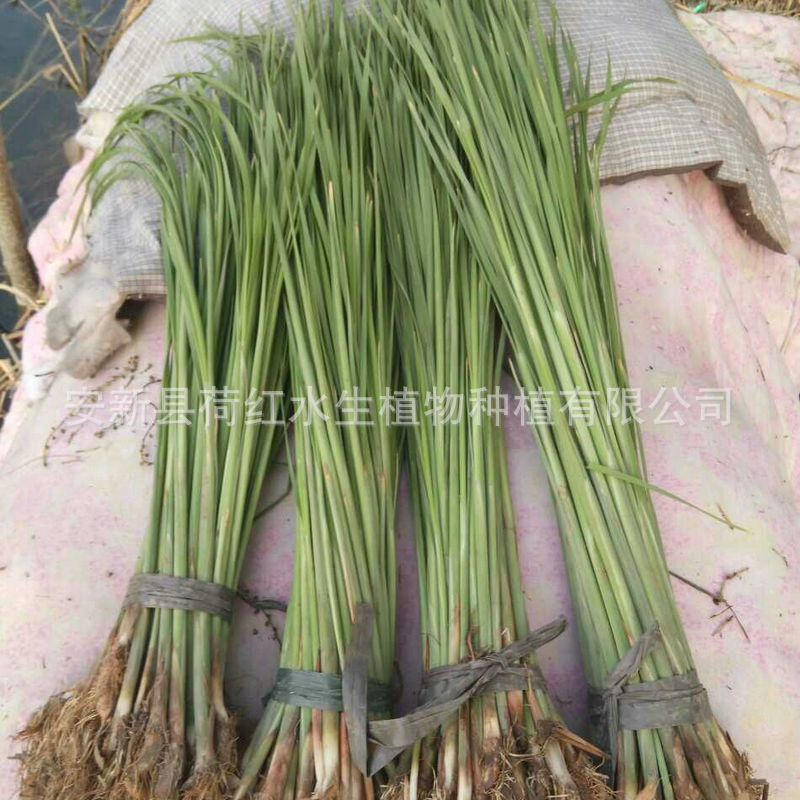 a5947cc10857fa6fa9dc82f0a438e3