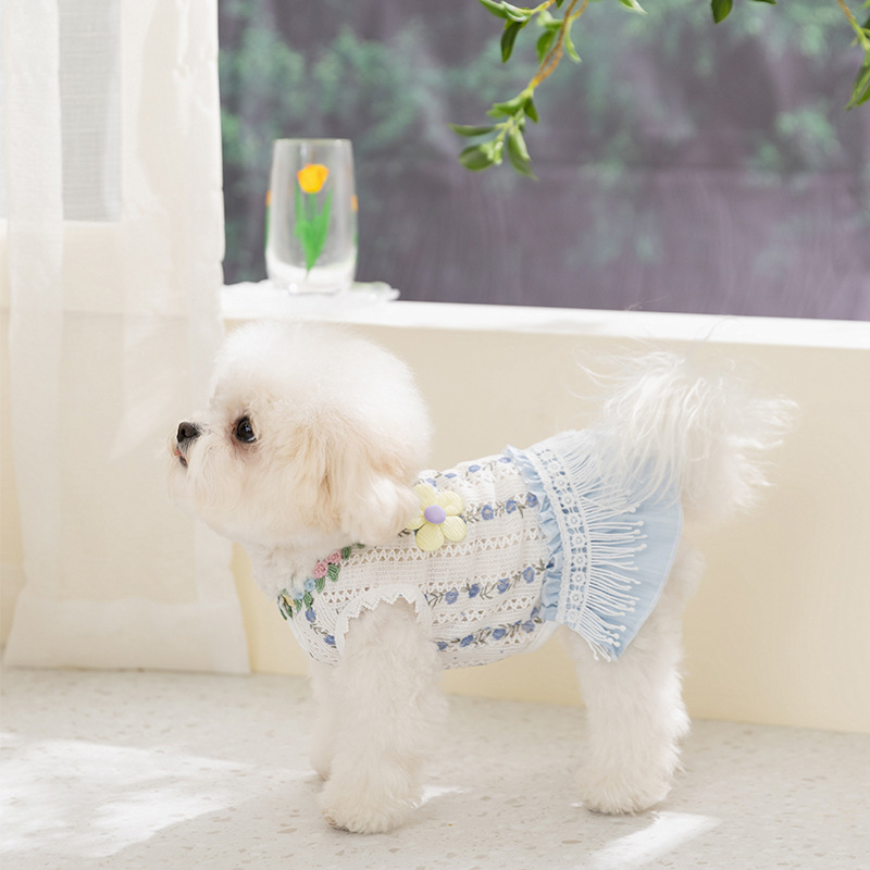 Vêtements pour chiens style coréen printemps-été, robe à franges festive pour chiens de petite et moyenne taille, Bichon, Teddy_voghion.com