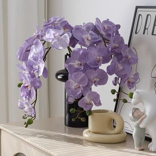 ins�L�p�ݝ�з�������m���ֵ�ҾӲ͏d�[����c����ˇ�g����diy