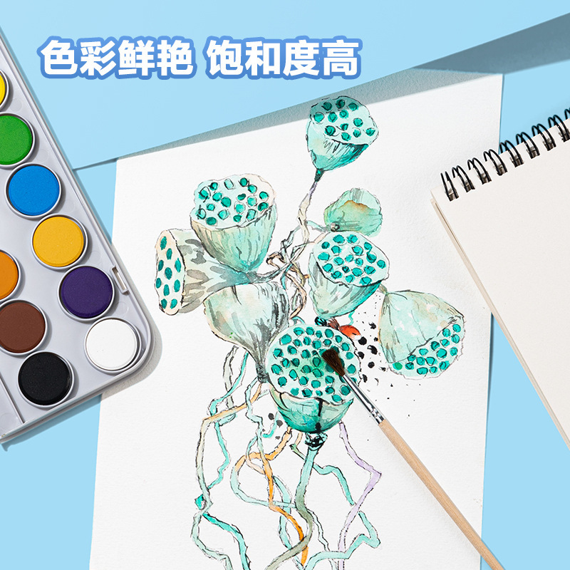 Deli HS112 solid watercolor paint children's art student hand painted powder paint painting set
