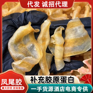 �Pβ�z �t���~�~�B�~�z���z��؛��Ƶ�ʳ�����û��z���������l