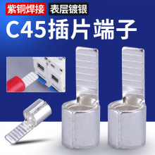 C45空气开关插针插片冷压接线端子铜鼻子线耳接线连接器紫铜镀银