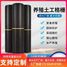 BֳWŸxoWھWȦ؇ھW©SW׾W