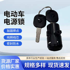 电动车电源锁通用踏板三轮车电动车电门锁大中小头锁钥匙开关配件