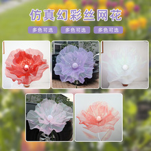 �羳���漆����c���Ñ����bòʽz�W��������ꐼٻ��Ĕz����