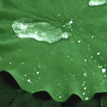 ��Ч�;÷�֯Ь��������LT-E92��ˮ���ͼ��ͺ�����ˮѹЬ�ķ�ˮ��