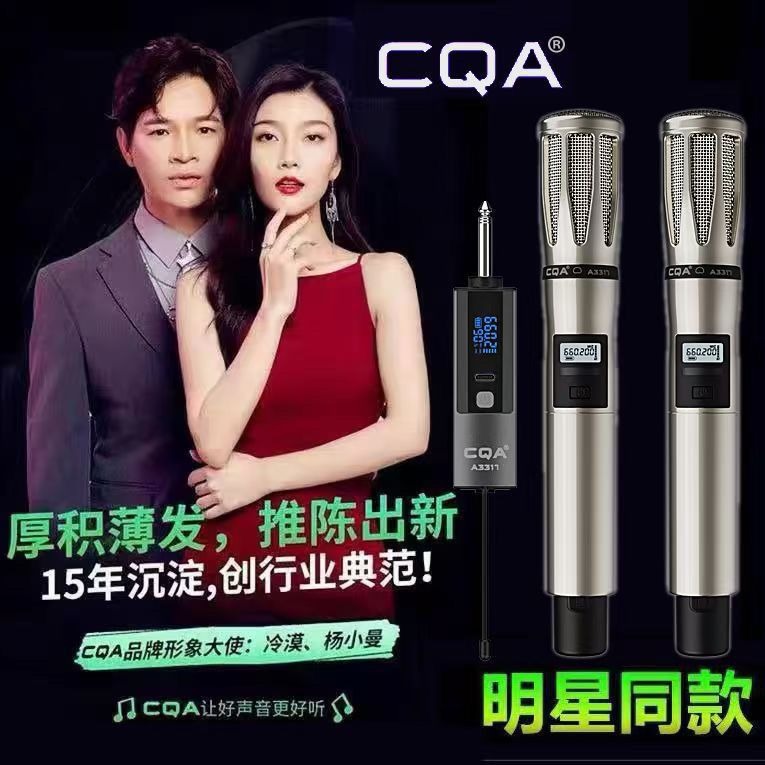 CQA3318 Indifference with Wireless Professional Microphone One-to-Two Rechargeable Microphone Sound Card Speaker Can be Universal