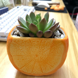 Сˮմɻ脓⿨ͨkԿɐl