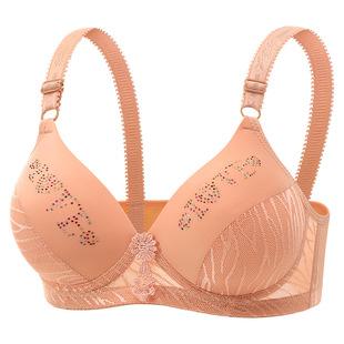 �¿��ļ����������؟o�Ȧ�۔n��a��C͸�ⱡ�����֋�������Ů