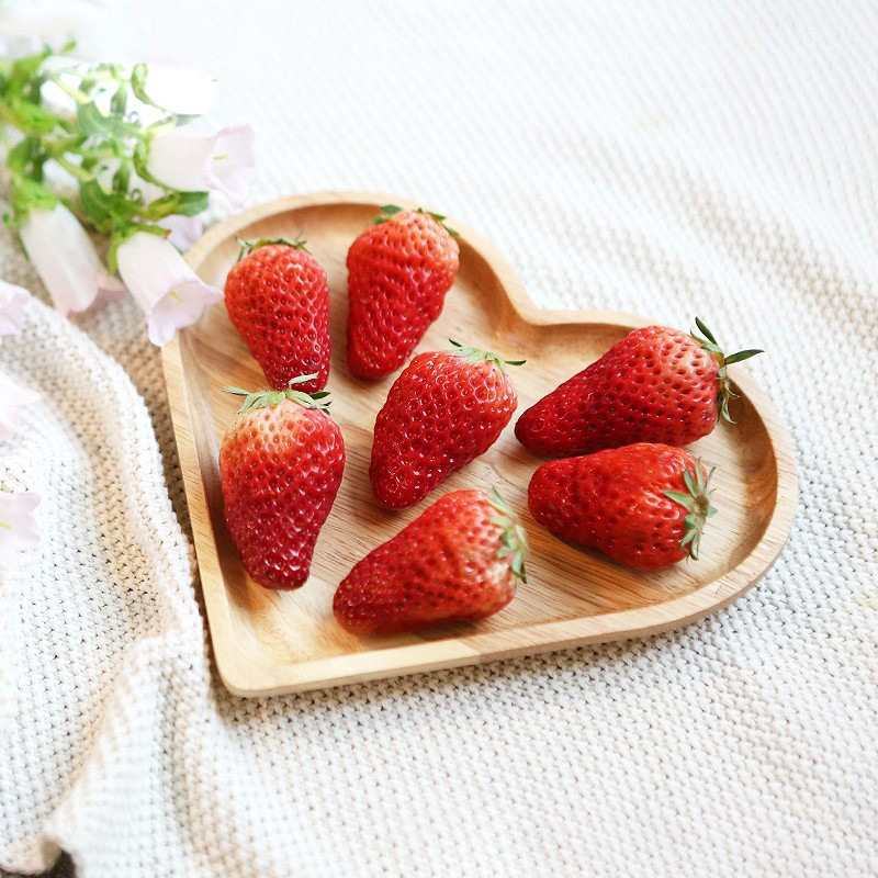 O1CN011xTgIj1GTNi2CeN6U_!!2217