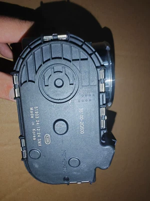 35100-2g600 351002g600 Wholesale Drossel