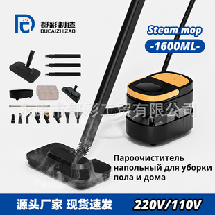 2025 New Cross-Border Household High Temperature and High Pressure Steam Cleaner 2500W Handheld Portable Washing and Mopping Machine