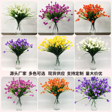 ���滨�����m7��Ҿ��b�c�[������ֲ������ٻ������S�����l