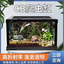 ����������������Ы�������ɫ�������������̬�����쾰��