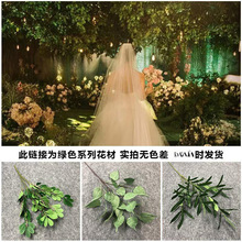 cˇGɫ~ķ滨~˹ֲݻYb·Ų廨