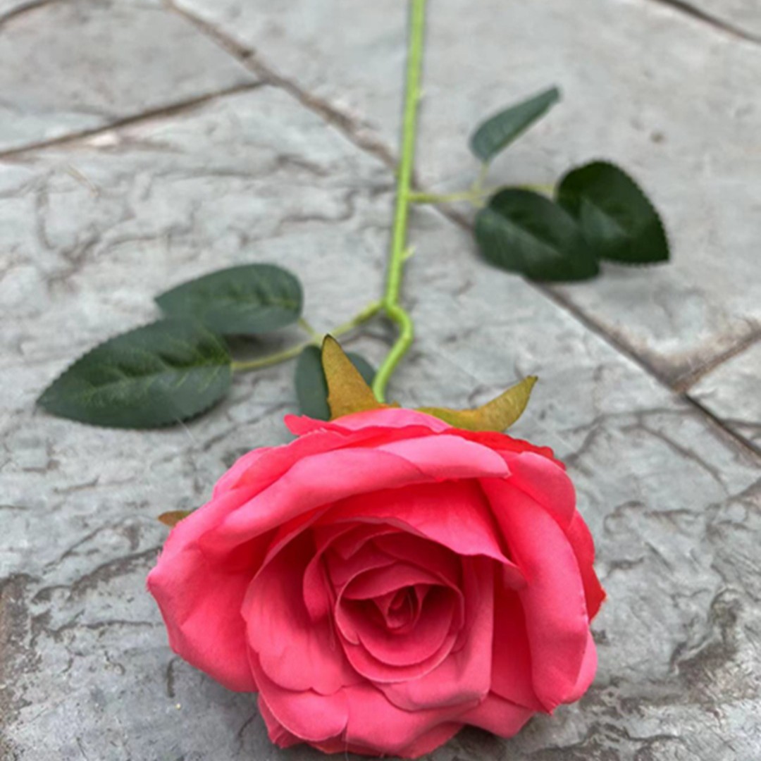 Single Ruyi Rose Rosa profundo