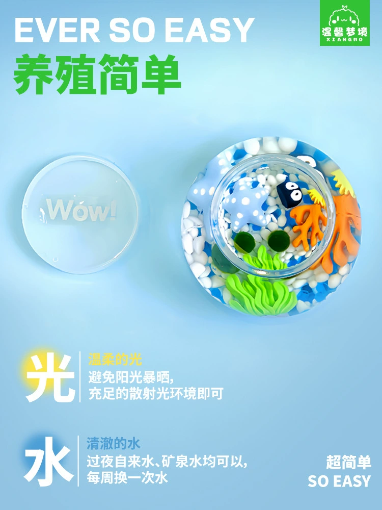 marimo海藻球城市岛屿微景观生态瓶办公室水培植物绿球藻营养液
