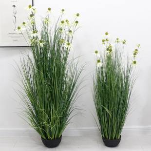 ���Wins�Gֲ�JȔ������辰 õ��Ҿ��bٻ��[���JȔ�����[����