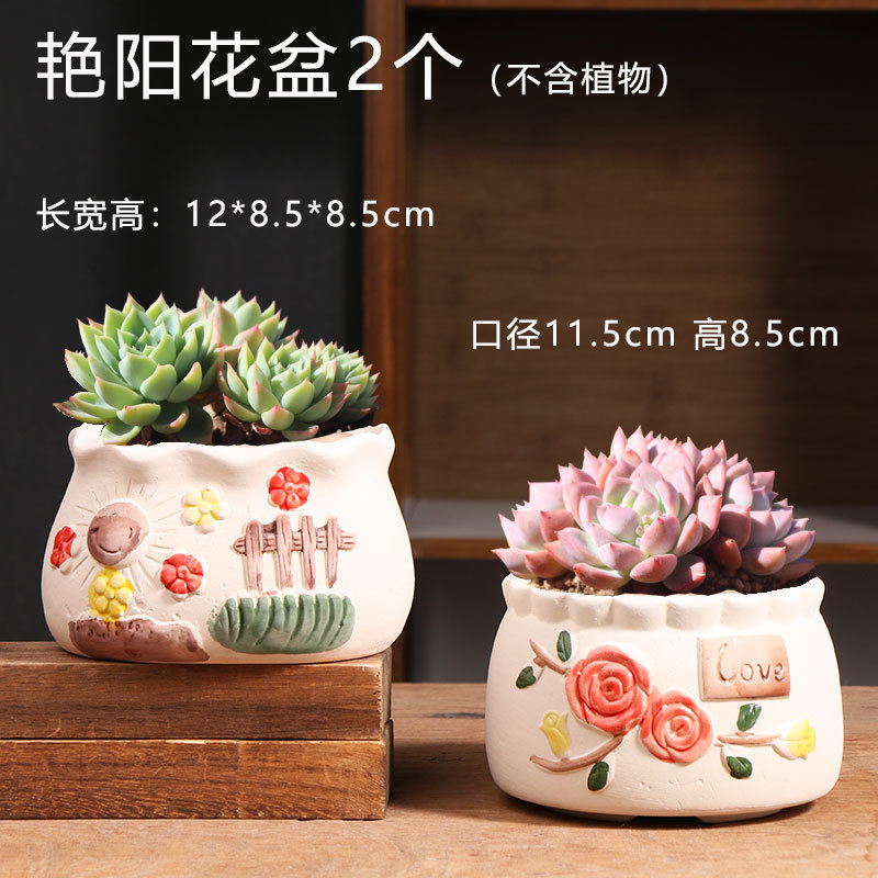 T-076大号艳阳2个