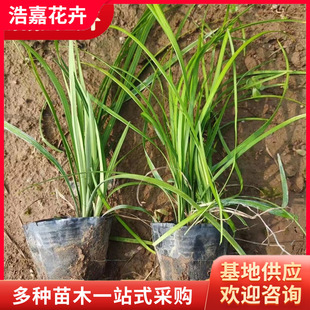 25�궬�����ݾG���ر����Gֲ������ͥԺֲ����ƺ���`̤�ͺ�������