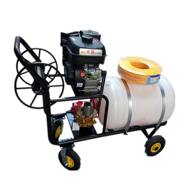 雾化可调压力大 汽油喷药机 高压喷雾器 农用果树手推打药机