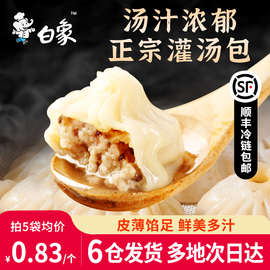 白象灌汤包薄皮小笼包速冻包子早餐早饭半成品速食蒸饺美食