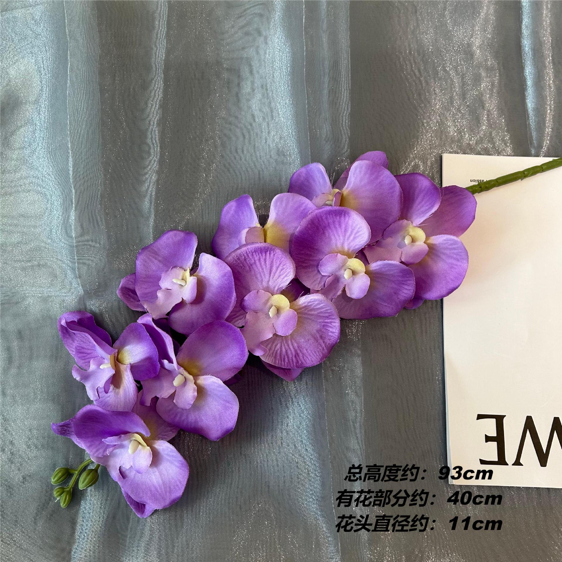 XKL9 호접란