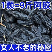 �½����Ѹɇ��xح�خa�ڼӁ��o���ЋD�o�������l�ڼӁ�һ�����l