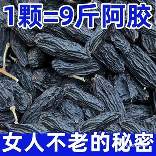 �½����Ѹɇ��xح�خa�ڼӁ��o���ЋD�o�������l�ڼӁ�һ�����l