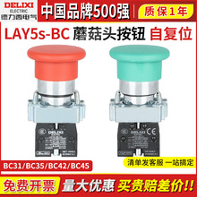 ���������o�_�PLAY5s-BC31Ģ���^BC42���^XB2�ԏ�λ22mm�����^NP2