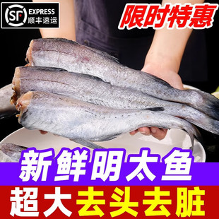 ʮ���ɽ�|��̫�~���r����o�^�L�~10�� ��M�L�~���~���l����