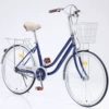 Exclusive blue single speed