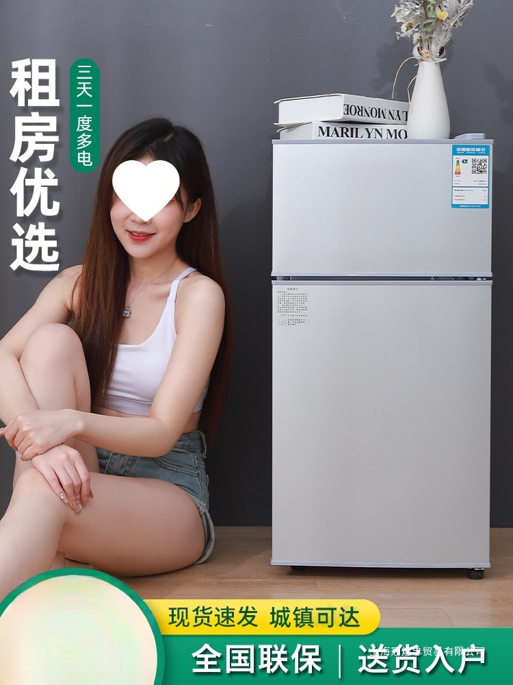 Small Refrigerator Household Small Mini Electric Refrigeration Dormitory Rental Double Door Refrigerator Energy Saving