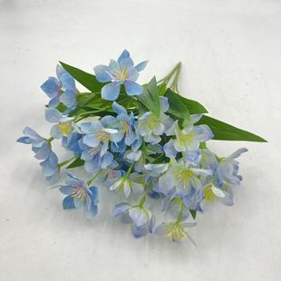 Դ�^���S���滨�羳���x�ٻ����ľ�㻨�����Ҿ��b����[���b�